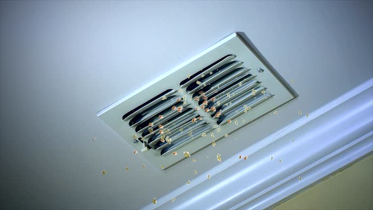 Best Best Air Duct Cleaning Company  in Stillwater, MN