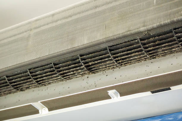 Best Emergency Air Duct Cleaning  in Stillwater, MN